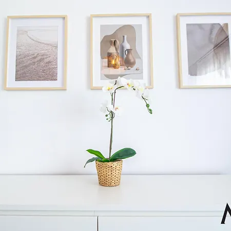 Apartament Mohost Alexa - Mountain View